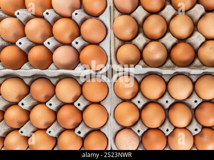 Organic brown eggs in cartons tray Stock Photo