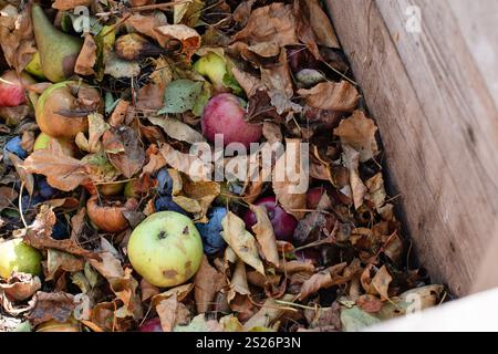 Homemade wooden compost bin in the garden. Recycling organic biodegradable material and household waste in composter. Eco fertilizer with no chemicals Stock Photo