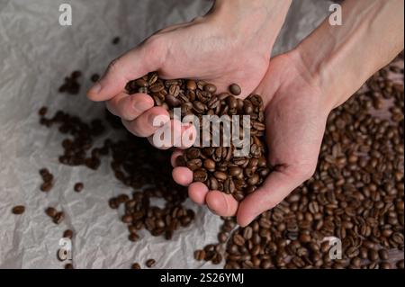 Man's hands holding fresh aromatic roasted coffee beans. Arabica and robusta blend. Wooden table and craft paper background Stock Photo