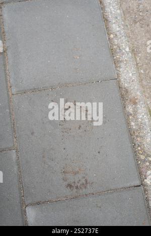 photo A Mysterious Footprint on a Concrete Pathway: Exploring the Intriguing Patterns Left on Outdoor Surfaces After a Rainfall in Urban Environments Stock Photo