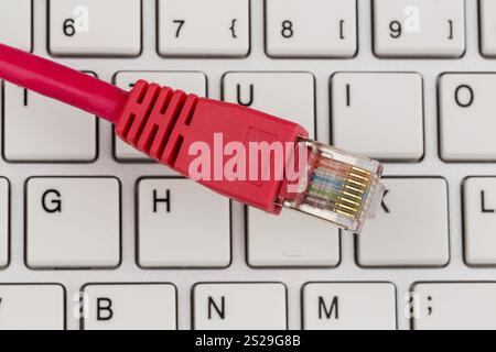Network cable on keyboard, symbol photo for flat rate, e-commerce, global communication Austria Stock Photo