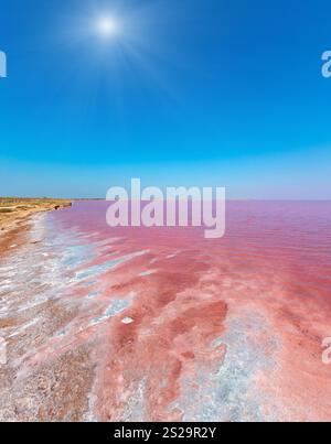 Sunshiny pink extremely salty Syvash Lake, colored by microalgae with crystalline salt depositions. Also known as the Putrid Sea or Rotten Sea. Ukrain Stock Photo