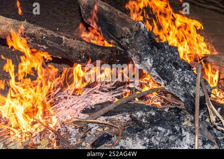 Close-up of a Bonfire in the night Stock Photo