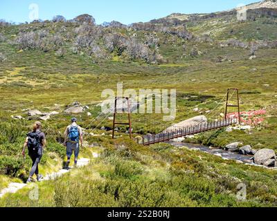 Hikers approaching Australia's highest suspension bridge, crossing Spencers Creek on the Snowies Alpine Walk Stock Photo