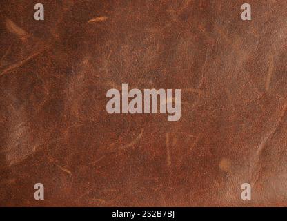 Beautiful texture of a fine brown leather surface using as background or header Stock Photo