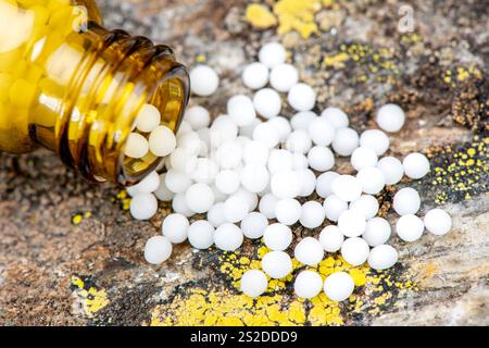 Homöopathische Alternativmedizin Alternativmedizin und Naturmedizin mit homöopathischen Globuli aus einer Ampulle *** Homeopathic alternative medicine Stock Photo