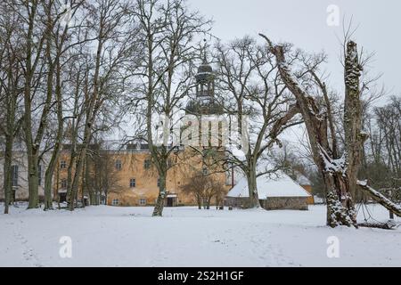 Old trees in front of ancient manor house in winter, Straupe, Latvia Stock Photo