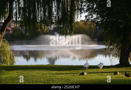 fountain on diss mere, norfolk Stock Photo