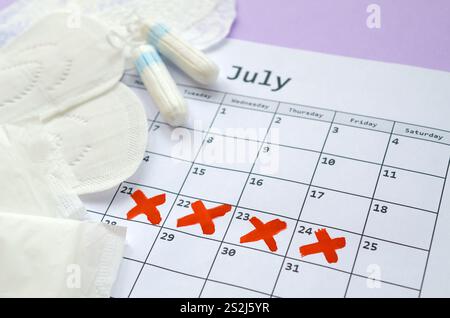 Aspects of women wellness in monthlies period. Menstrual pads and tampons on menstruation period calendar. Woman critical days, gynecological menstrua Stock Photo