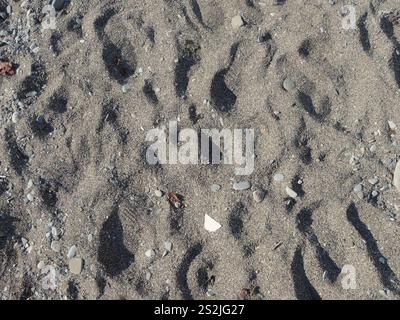 dark fine grey sand in sunlight with sea pebbles as natural grain texture, sandy material with pits, drifts and stones as background Stock Photo