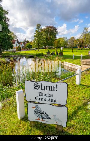 The duck pond Blackmore Essex Stock Photo - Alamy