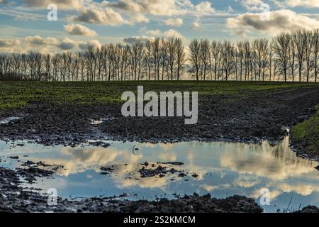 Sky reflecting in a large puddle on an agricultural field in rural Sussex Stock Photo