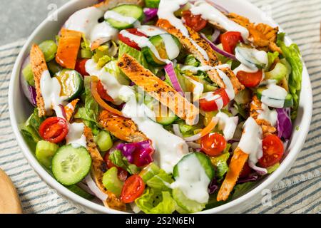 Healthy Homemade Buffalo Chicken Salad with Blue Cheese and Celery Stock Photo