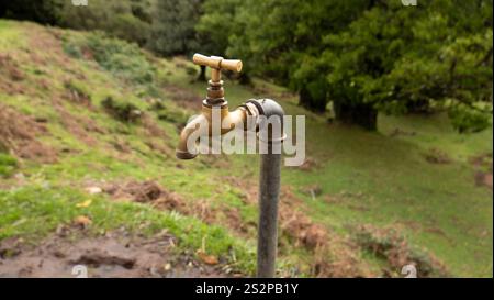 Close-up of a brass outdoor water tap mounted on a metal pipe in a rural landscape with green grass and trees in the background. Stock Photo