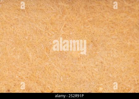 Macro close up of fibrous paper texture Stock Photo