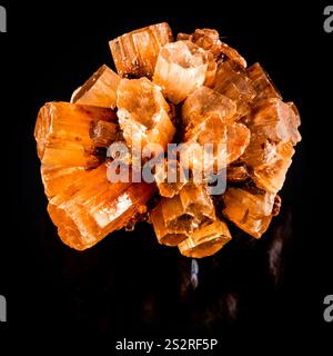 A large Aragonite orange crystal formation sits on a black background. The crystal is made up of many small pieces that are all connected together. Sc Stock Photo