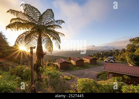 Cabins of a lodge in the cloud forest, in the evening light, Paraiso Quetzal Lodge, view over mountain landscape, sun star, San Jose province, Costa Stock Photo