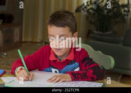 A pupil does his homework. Schoolwork is done. Austria Stock Photo