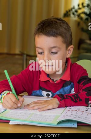 A pupil does his homework. Schoolwork is done. Austria Stock Photo