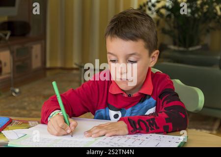 A pupil does his homework. Schoolwork is done. Austria Stock Photo