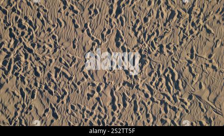 Top view of human footprints in the golden sand on a tropical beach. Aerial view of a footsteps of human feet in the wet sand near the water on the be Stock Photo