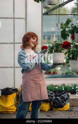 Three quarter length of smiling young ginger female botanist standing at greenhouse and looking at the flower in hanging pot. Horticulturist standing Stock Photo