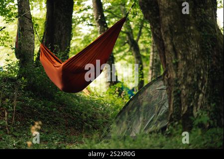 A person is sleeping and resting in a hammock in a forrest next to a tent. Nature lover is enjoying summer day in woods and taking a break from wild n Stock Photo