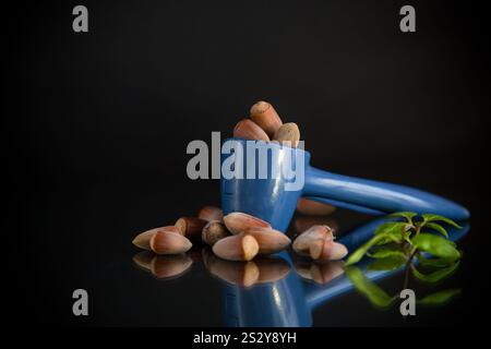 hazelnuts with nutcracker isolated on black background. Stock Photo