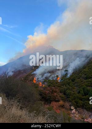 LOS ANGELES COUNTY, CALIFORNIA, USA - 13 December 2024 - A burning canyon in Los Angeles County, California, USA during the Franklin Fire. The wildfir Stock Photo
