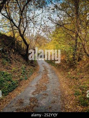 Curvy trail in ravine on autumn day. Path between hills in a forest, ground covered with fallen leaves. Stock Photo
