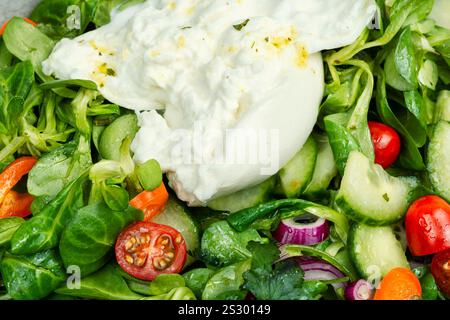 Heathy salad of leafy greens, cherry tomatoes, cucumbers, peppers and Burrata cheese. Close up. Stock Photo