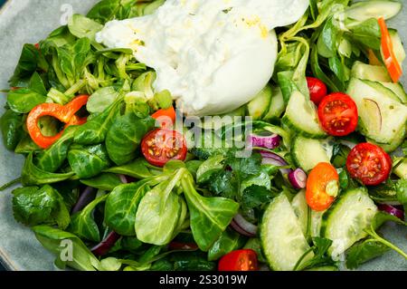 Vegetable dietary salad of greens, cherry tomatoes, cucumbers, peppers and Burrata cheese. Macro. Stock Photo