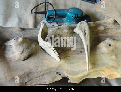 polished small twisted driftwood lying on a large fragment of a tree trunk without bark with a beautiful texture and a blue electric sander Stock Photo