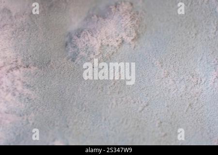 A close up of a moldy surface with a fuzzy texture. Concept of decay and neglect, as the mold has taken over the surface Stock Photo