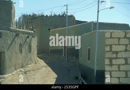 the Town and Oasis of Farafra in the Libyan or estern Desert of Egypt in North Africa.  Egypt, Farafra, March, 2000 Stock Photo