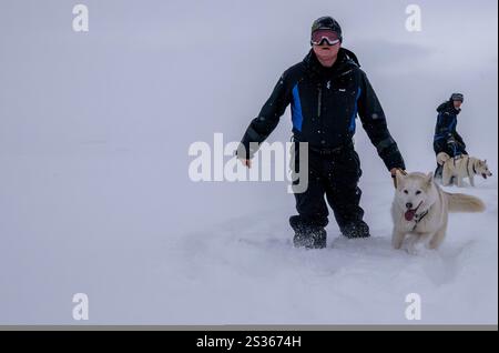 July 15, 2023, Husavik, Iceland: A guide is seen organizing a group of hiskies during a dog sledding excursion on a tundra near Husavik. Sled dog rides offer a truly remarkable experience to explore the winter landscapes of the northern part of the country. Using mainly trained Siberian Huskies which are known for their resistance to cold and their ability to travel long distances, visitors can enjoy a thrilling ride across the snowy tundra. Led by local experts, these excursions not only let travelers admire the natural beauty of the region, but also interact with the dogs, learning more abou Stock Photo