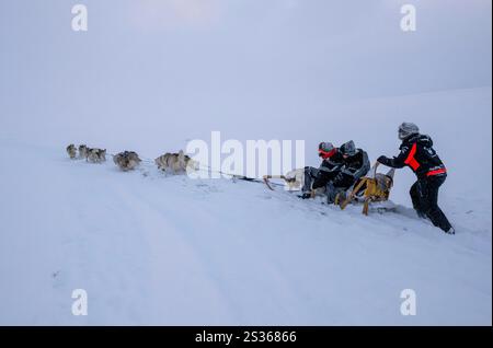 July 15, 2023, Husavik, Iceland: A group of riders led by a guide are seen sledding on a dogsled during an excursion on a tundra located in the Husavik. Sled dog rides offer a truly remarkable experience to explore the winter landscapes of the northern part of the country. Using mainly trained Siberian Huskies which are known for their resistance to cold and their ability to travel long distances, visitors can enjoy a thrilling ride across the snowy tundra. Led by local experts, these excursions not only let travelers admire the natural beauty of the region, but also interact with the dogs, le Stock Photo