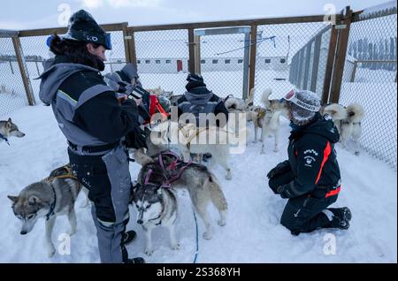 July 15, 2023, Husavik, Iceland: People are seen interacting with a group of huskies gathered near a courtyard located near a sled dog training shelter. Sled dog rides offer a truly remarkable experience to explore the winter landscapes of the northern part of the country. Using mainly trained Siberian Huskies which are known for their resistance to cold and their ability to travel long distances, visitors can enjoy a thrilling ride across the snowy tundra. Led by local experts, these excursions not only let travelers admire the natural beauty of the region, but also interact with the dogs, le Stock Photo