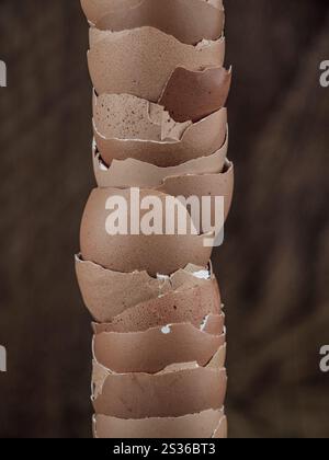 Empty egg shells stacked up Stock Photo