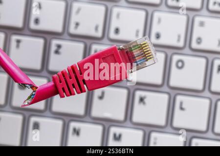 Defective network cable on keyboard, symbolic photo for online, networks, interference and espionage Austria Stock Photo