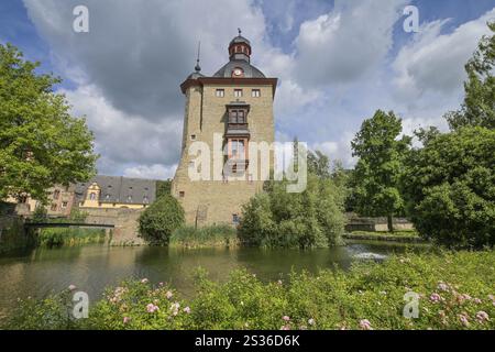 Castle tower, Schloss Vollrads winery, Oestrich-Winkel, Rheingau-Taunus district, Hesse, Germany, Europe Stock Photo