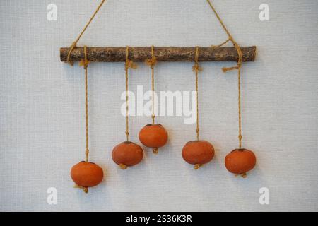 Persimmon hanging on a rope on a white wall in the room Stock Photo