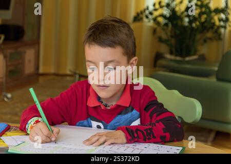 A pupil does his homework. Schoolwork is done. Austria Stock Photo