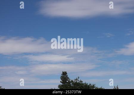 scattered thin white clouds against deep blue sky over trees Stock Photo