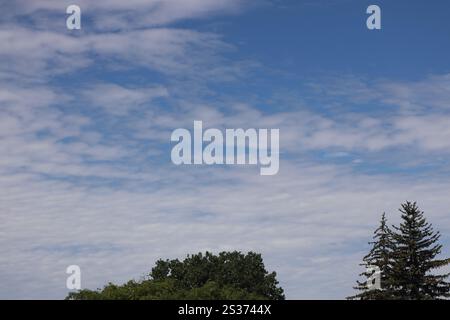 scattered thin white clouds against deep blue sky over trees Stock Photo