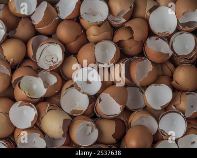 Empty egg shells stacked up Stock Photo