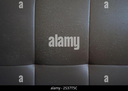 Cat claws on sofa scratch leather seat is covered in dirt it look unkempt and dirty Stock Photo