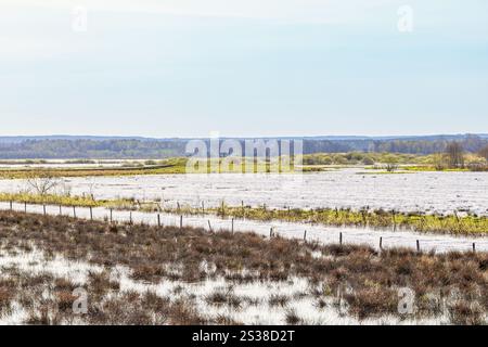 Flooded water canal by grass meadows at springtime Stock Photo