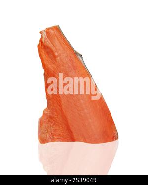 Fresh salmon fillet on ice Stock Photo - Alamy