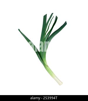 green onions isolated on white background Stock Photo - Alamy